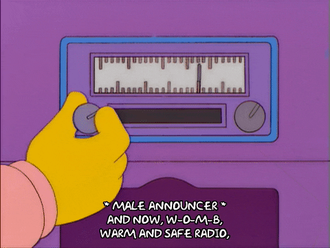 the simpsons episode 13 GIF