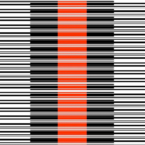 animation design GIF by Thomas L Ricci