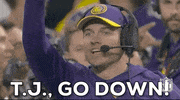 Go Down National Football League GIF by NFL