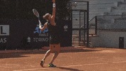GIF by FOX Sports