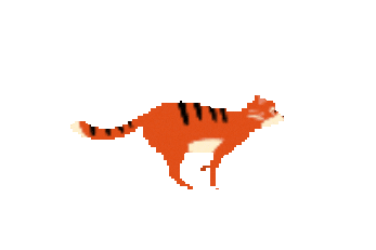 Red Panda Cat Sticker