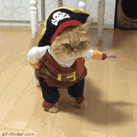 pirate GIF