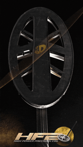 Jewellery Detecting GIF by Crazy Detectors