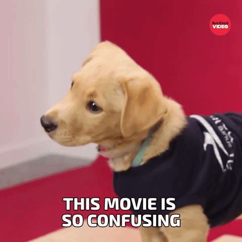 Movie is confusing