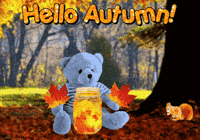 Trick Or Treat Halloween GIF