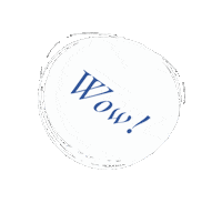 Circle Wow Sticker by Allgäu GmbH