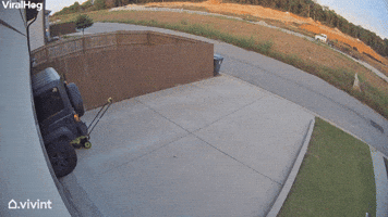 Lawnmower Goes For Joy Ride