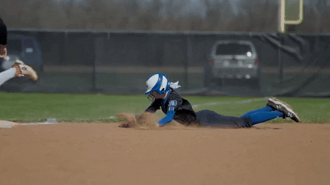 Holland Springfield Blue Devils Softball GIF by Smooth Wave