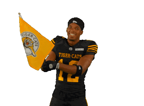 Tiger-Cats Cfl Sticker by Hamilton Sports Group