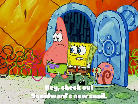 season 3 the great snail race GIF by SpongeBob SquarePants