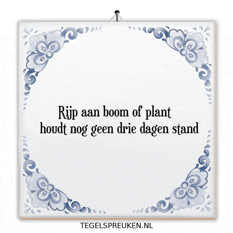 Boom Plant GIF by Tegelspreuken.nl