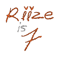 Riize Sticker