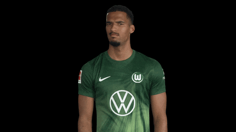 Germany No GIF by VfL Wolfsburg