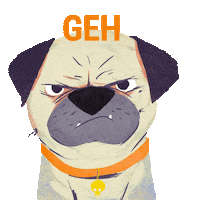 Vote Panda Sticker by WWF Deutschland