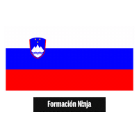 Flag Bandera Sticker by Formación Ninja