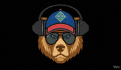 Bears GIF by The Cubby Bear Chicago