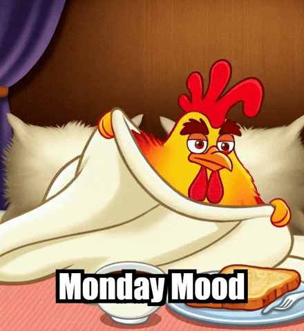 Monday Mood Bedhead GIF by Zorooster