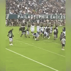 Philadelphia Eagles GIF by Storyful