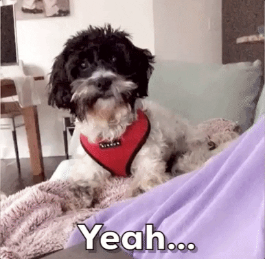 No GIF by Chrisanthy Stotis