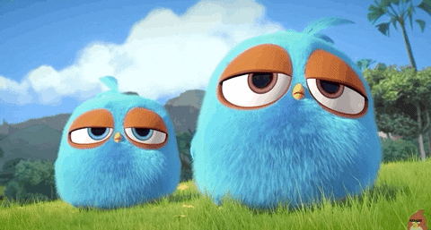 told you ok GIF by Angry Birds