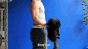 cats attention GIF