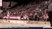 gostanford  GIF