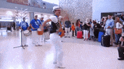 happy miami airport GIF