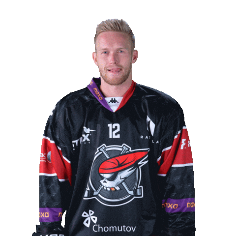 Heart Hokej Sticker by Piráti Chomutov