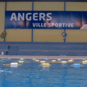 Ville_Angers giphyupload swim angers piscine GIF