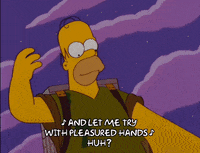 homer simpson episode 6 GIF