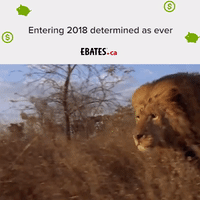 goals resolutions GIF by ebatescanada