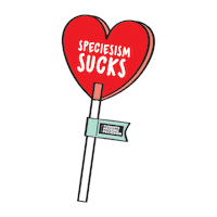 Animal Liberation Love Sticker by PETA