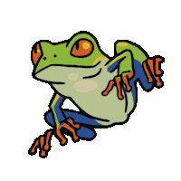 Animation Frog Sticker