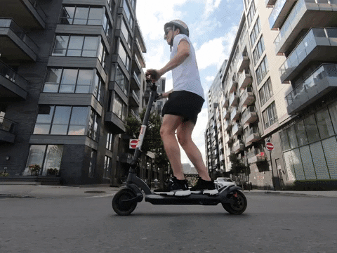 maciekpiskorz giphygifmaker GIF