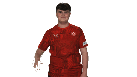 Fc Kaiserslautern Hello Sticker by Bundesliga