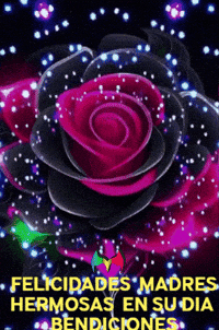 Feliz Amigos GIF by Murcianys LLC