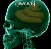 Brain Meme GIF