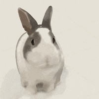Rabbit Eating GIF
