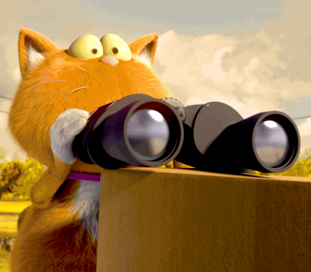 cat binoculars GIF by scopas medien AG