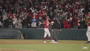 Celebrate Ncaa Baseball GIF by Arkansas Razorbacks