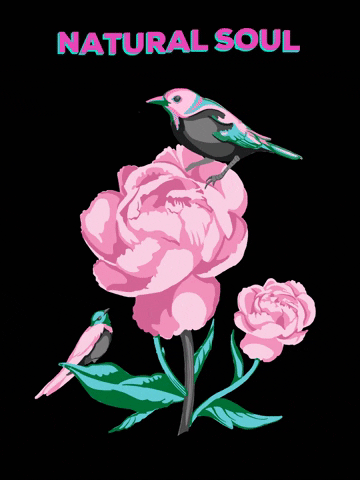 saragiacomelliillustration pink flower green flowers GIF