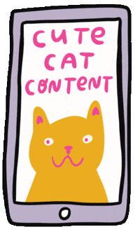 Cute Cats GIF by Able And Game