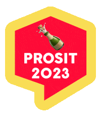 Happy Champagne Sticker by Linz News