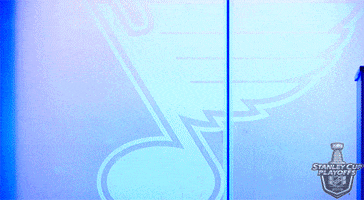 nhl sports hockey nhl ice hockey GIF