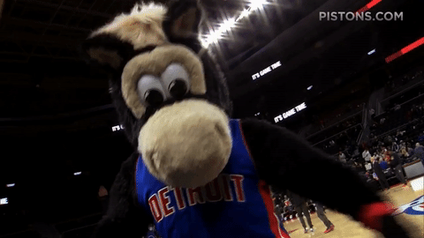 mascot hooper GIF by Detroit Pistons