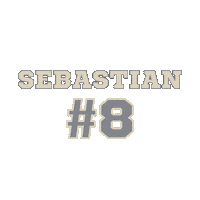 Baseball Team Sticker by LITTLE SHARK AND CO.