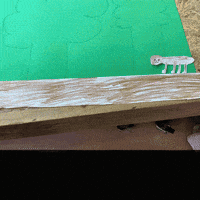 Kcwilhelmina GIF by Kunstkwartier