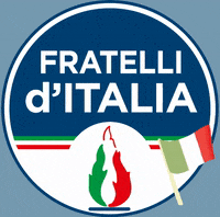fratelli_italia fratelli ditalia GIF