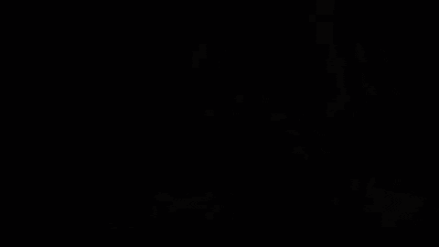 MrMisslefart4k giphyupload GIF