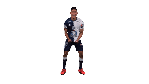 Liga Mx Cantera Tuza Sticker by Club Pachuca Tuzos